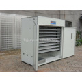 Quail Egg Incubator Supplier in Malawi